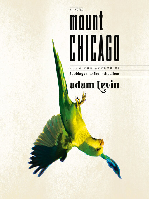 Title details for Mount Chicago by Adam Levin - Wait list